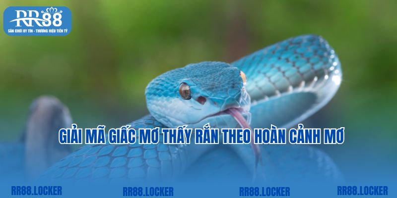 Giải mã giấc mơ thấy rắn theo hoàn cảnh mơ 