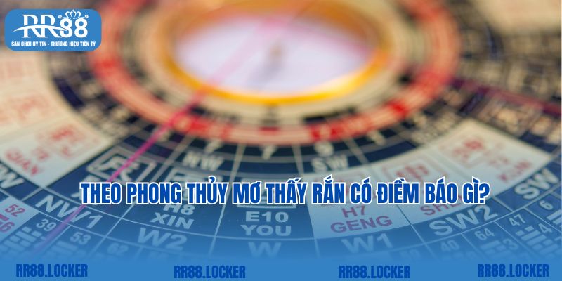 Theo phong thủy mơ thấy rắn có điềm báo gì?