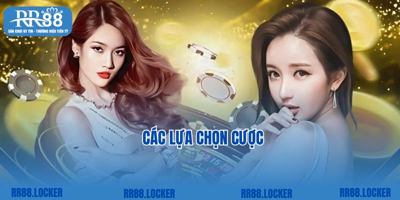 Các lựa chọn cược