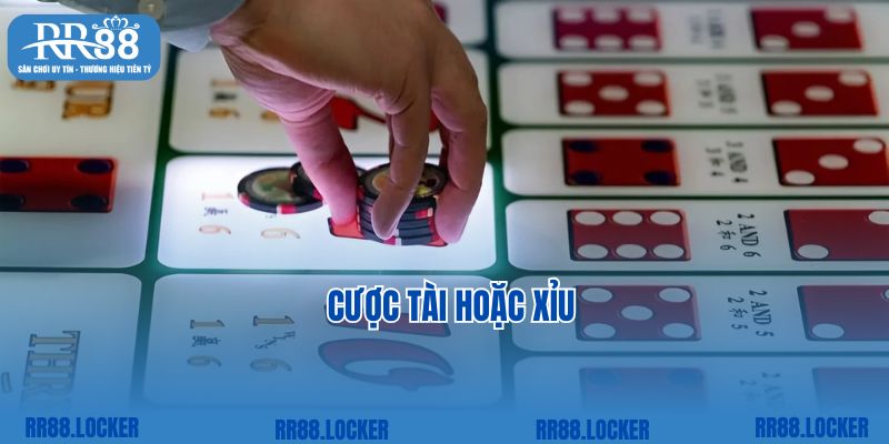 Cược tài hoặc xỉu