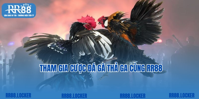 Tham gia cược đá gà trực tuyến siêu tốc tại top game RR88