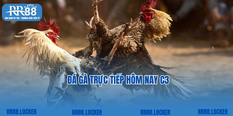 Đá Gà Trực Tiếp Hôm Nay C3 – Chiến Trường Rực Lửa Top 1